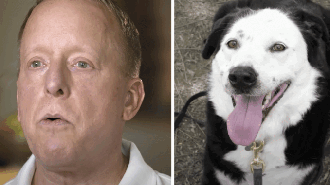 DogCancerNew.gif