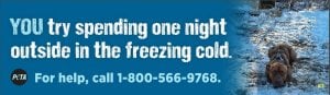 PETA-You-Try-Spending-One-Night-Outside-300x87.jpg