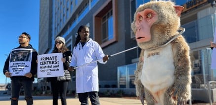 UW-Giant-Monkey-Demo.jpg
