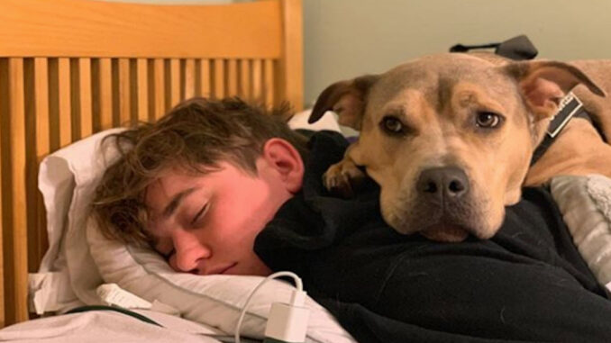 adopted-dog-fin.jpg