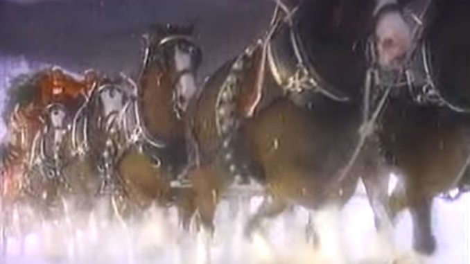 clydesdales-christmas-story-fin.webp.webp