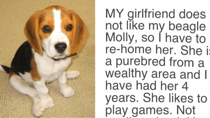 giphy-1.gif