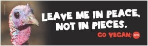 Thanksvegan-leave-me-in-peace-not-pieces-300x93.jpg